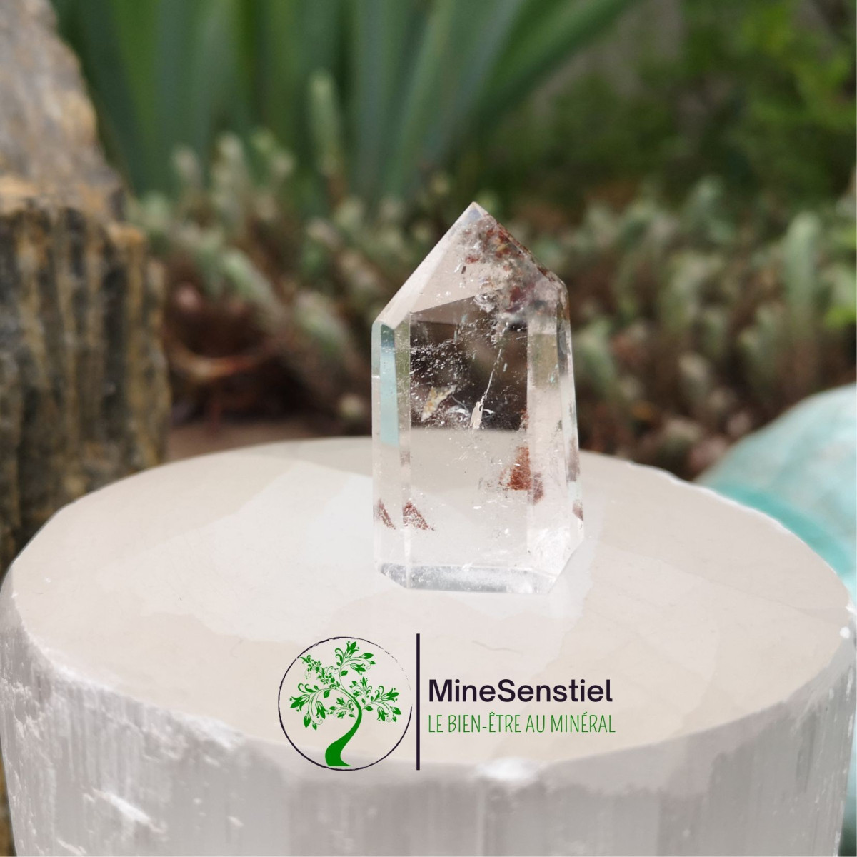 Pointe quartz lodolite
