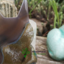 Chat agate druzy