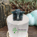 Dragon agate mousse
