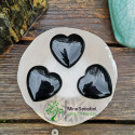 Cœur obsidienne