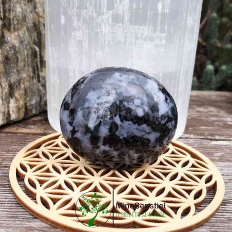 Galet gabbro