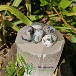 Pierre roulée agate mousse