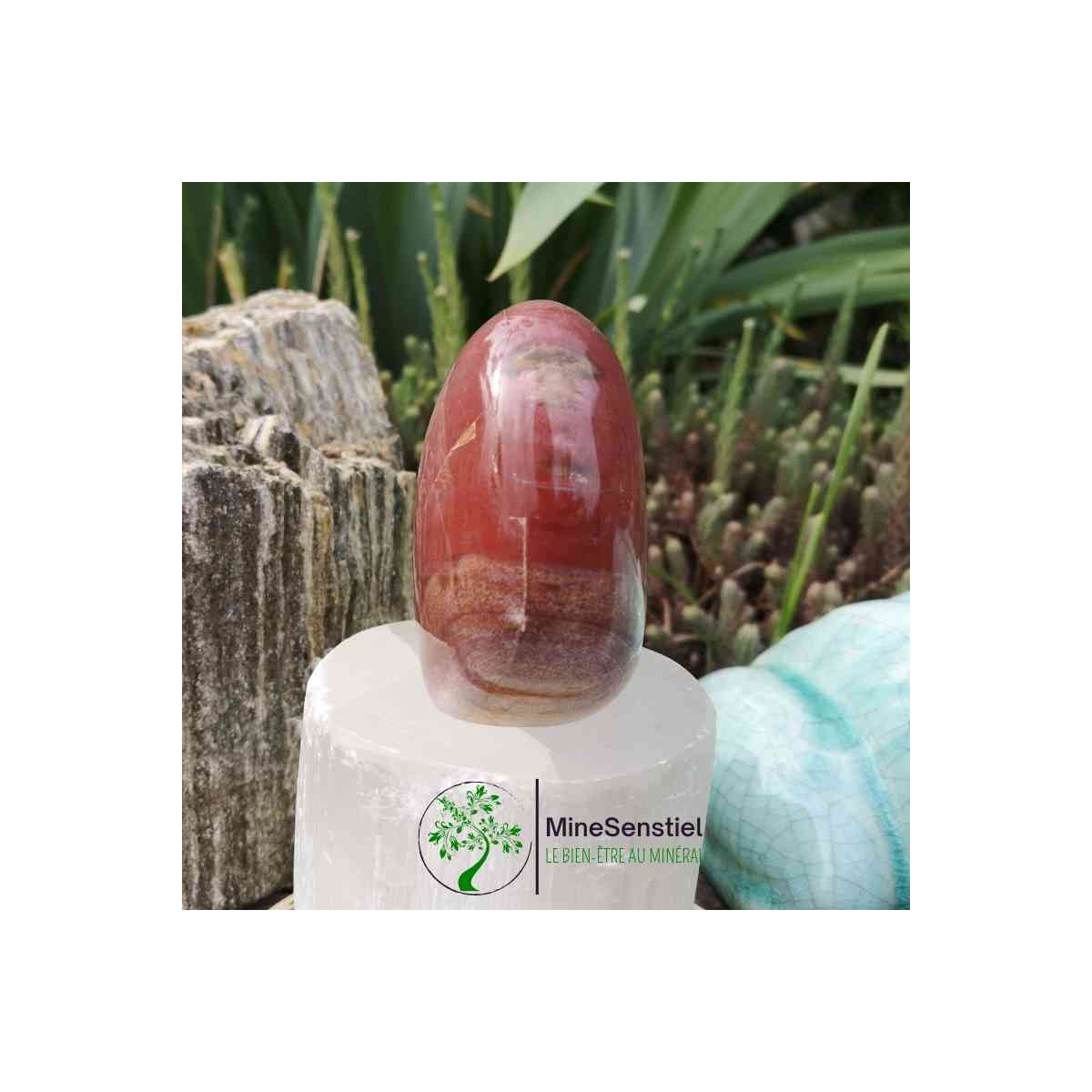 Bois fossile forme libre