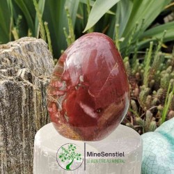 Bois fossile forme libre