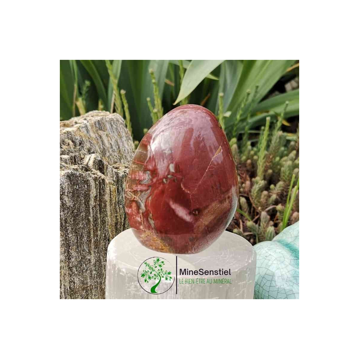 Bois fossile forme libre
