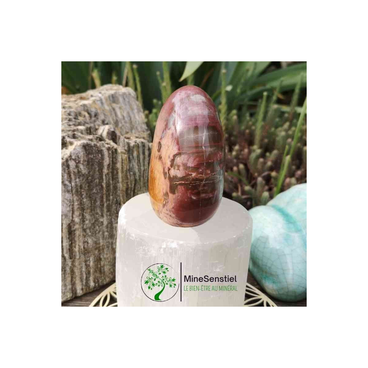 Bois fossile forme libre