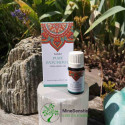 huile patchouli Goloka