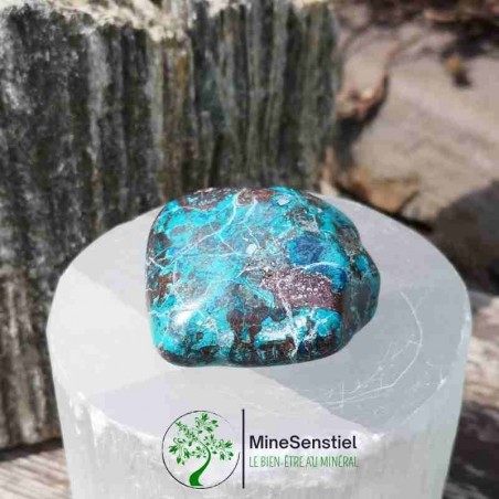 Galet chrysocolle shattuckite