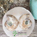 Ammonite opalisée